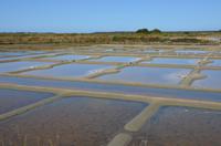 Salzfelder von Guerande