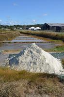 Salzfelder von Guerande