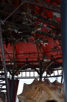 Les Machines de l'ile, Nantes