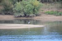 Flusskreuzfahrt auf der Loire