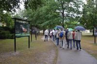 Besuch der Reitschule Cadre Noir