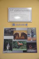 Reitschule Cadre Noir