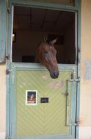 Reitschule Cadre Noir