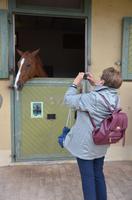 Besuch der Reitschule Cadre Noir