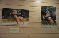 Reitschule Cadre Noir