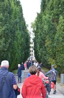 Weg zum Schloss von Azay-le-Rideau