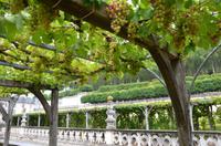 Die Gärten von Villandry