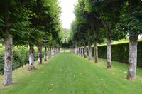 Die Gärten von Villandry