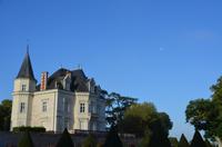 Saint Florent le Viel