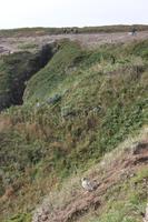 IMG_1618_Cap Fréhel