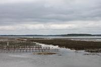 IMG_1643_Locmariaquer