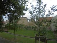 Ingelheim, Befestigungsanlagen der Kaiserpfalz