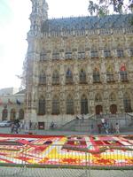 Leuven, Rathaus mit Blumenteppich