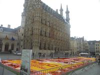 Leuven, Rathaus mit Blumenteppich