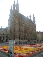 Leuven, Rathaus mit Blumenteppich