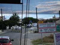 Camargue - Pferde vor den Toren des Wallfahrtsortes Saintes Maries....