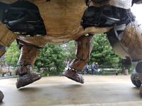 Les Machines de l'île (8)