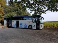 Muscadet - Coing (6)