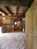 Muscadet - Coing (11)