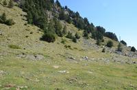 Spaziergang auf dem Gipfel