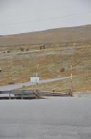 Hagelschauer auf dem Port d'Envalira