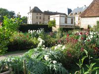 herbstliche Bütenpracht