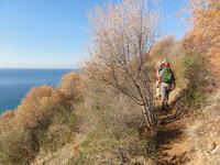 Wanderung zum Leuchtturm La Parata