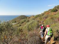 Wanderung zum Leuchtturm La Parata