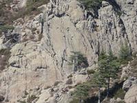 ein Kletterer in der Wand