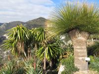 Jardin Exotique Eze