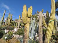 Jardin Exotique Eze