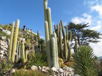Jardin Exotique Eze