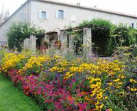 Garten hoch über Nizza