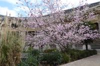 Paris im Frühling 2018  