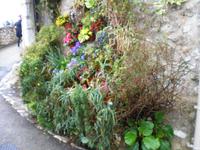 Vorgärten Saint Paul de Vence