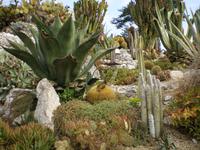 Botanischer Garten Eze