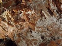 Grotte de la Madeleine