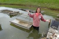 Austernzucht bei Marennes 