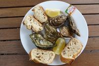 Austernzucht bei Marennes 