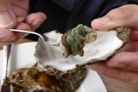 Austernzucht bei Marennes 