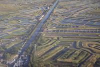 Austernzucht bei Marennes 