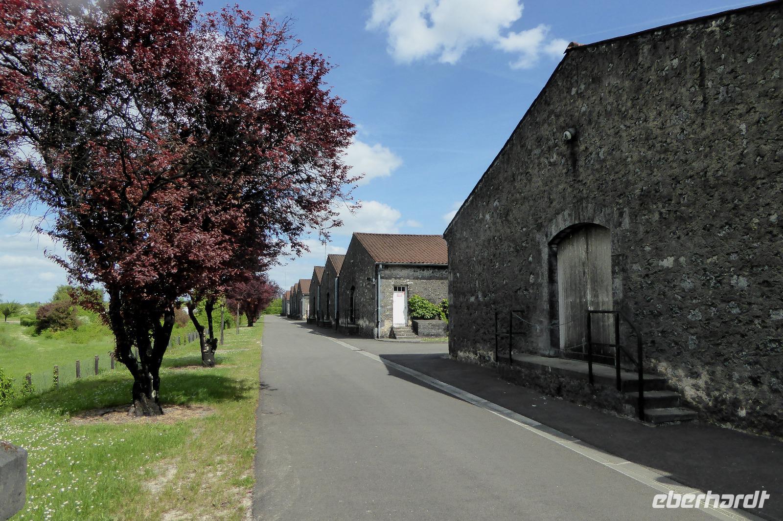 Besuch bei Rémy Martin 
