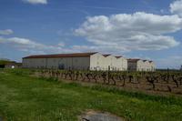 Besuch bei Rémy Martin 