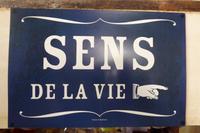 Hier geht´s zum Sinn des Lebens