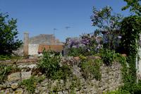 Idylle an der Charente