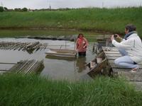 Austernzucht in Marennes