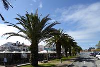 Schifffahrt zum Fort Boyard 