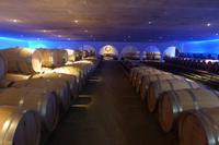 Weingüter im Médoc 