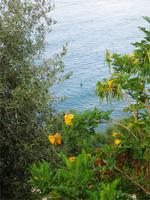 Blick auf das Meer bei Nizza