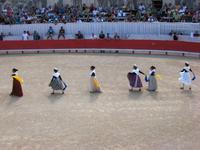 Course Camarguaise in Arles